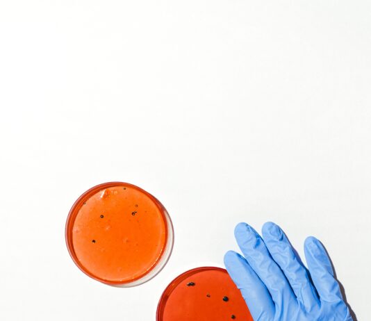 Superbakterii nestvořila antibiotika. Zrodila se dávno před nimi